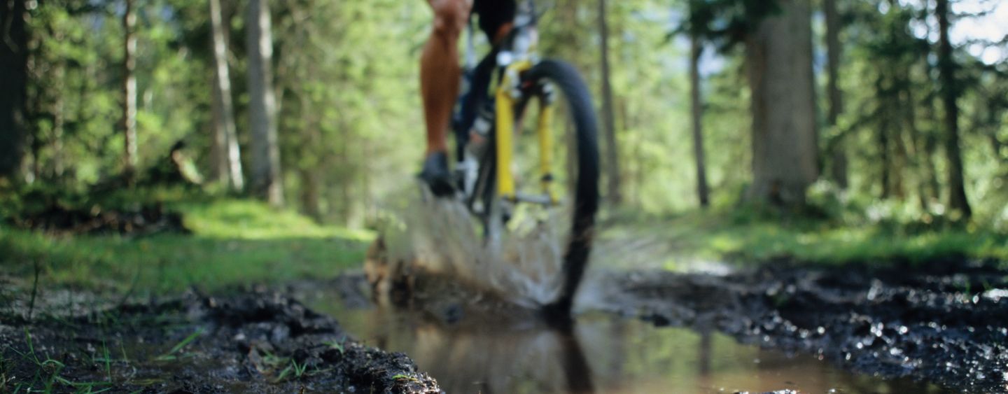 Mountain Biking Through The Pohorje Forests