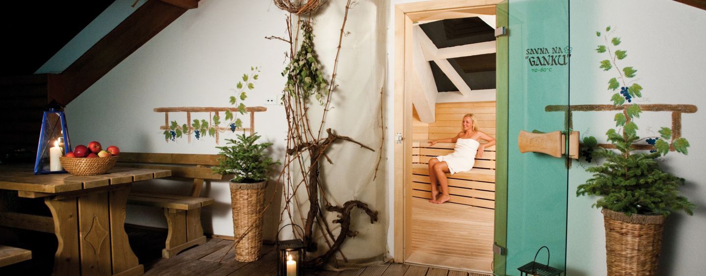 Terme Zreče Sauna Village